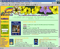 VER WEB SITE (nova janela)