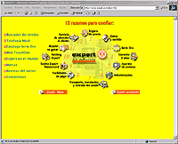 VER WEB SITE (nova janela)